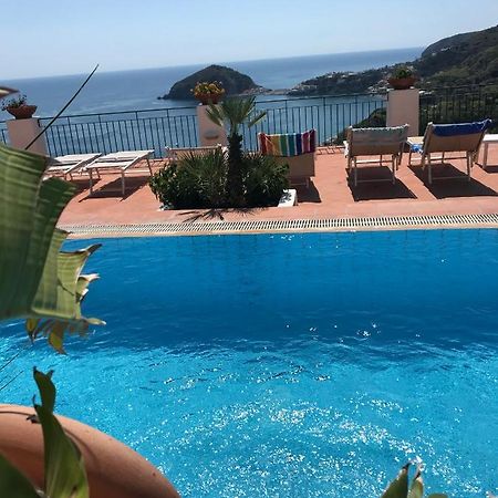L' Ulivo Villa Nunzia Barano dʼIschia Exteriör bild