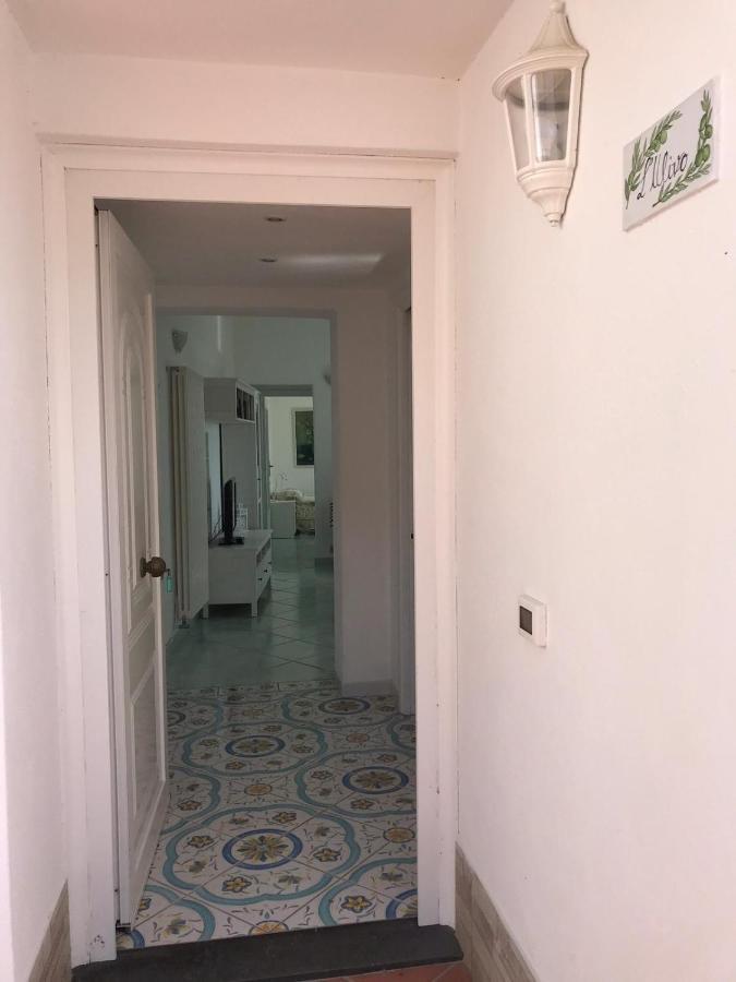 L' Ulivo Villa Nunzia Barano dʼIschia Exteriör bild