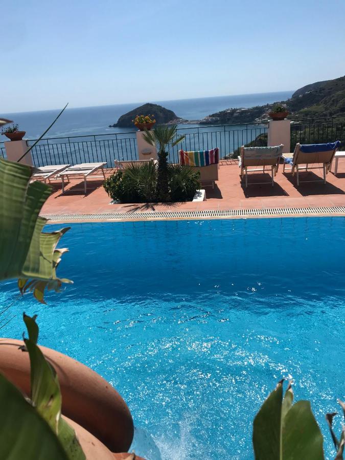 L' Ulivo Villa Nunzia Barano dʼIschia Exteriör bild